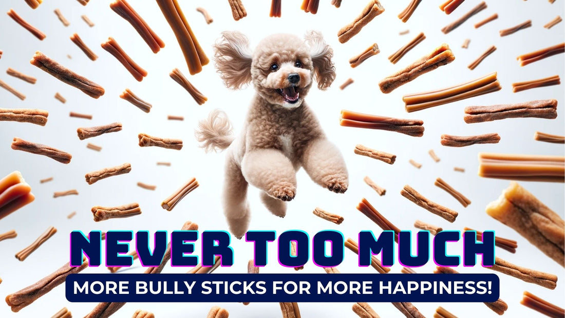 Never Too Much - More Bully Sticks for More Happiness!