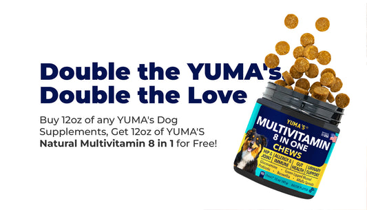 Double the YUMA's, Double the Love: Buy 12oz of any YUMA's Dog Supplements, Get 12oz of YUMA'S Natural Multivitamin 8 in 1 for Free!