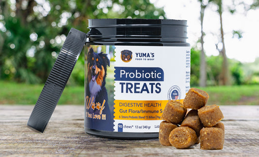 Probiotics - delicious health support for your pet