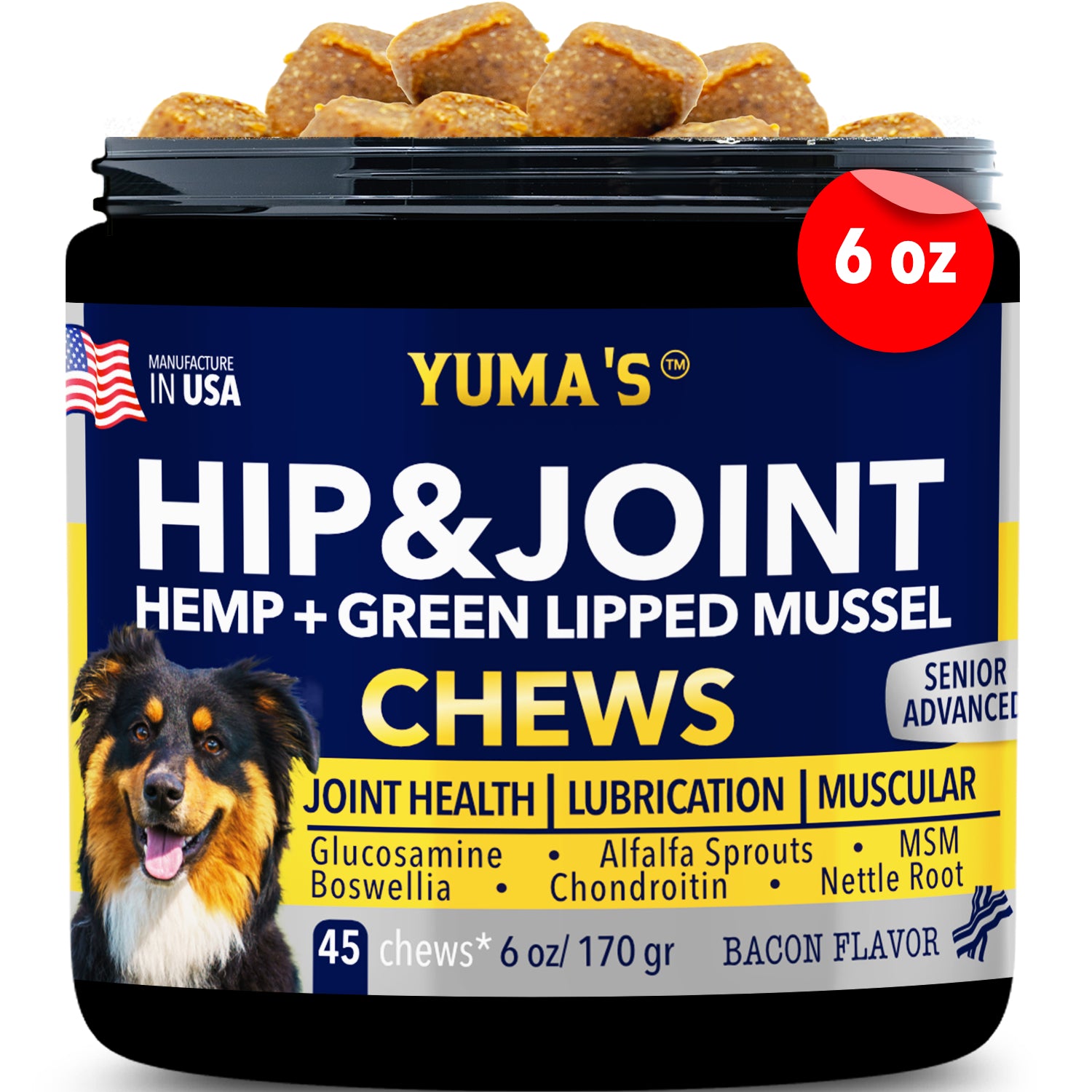 Hip & joint health for best sale senior dogs