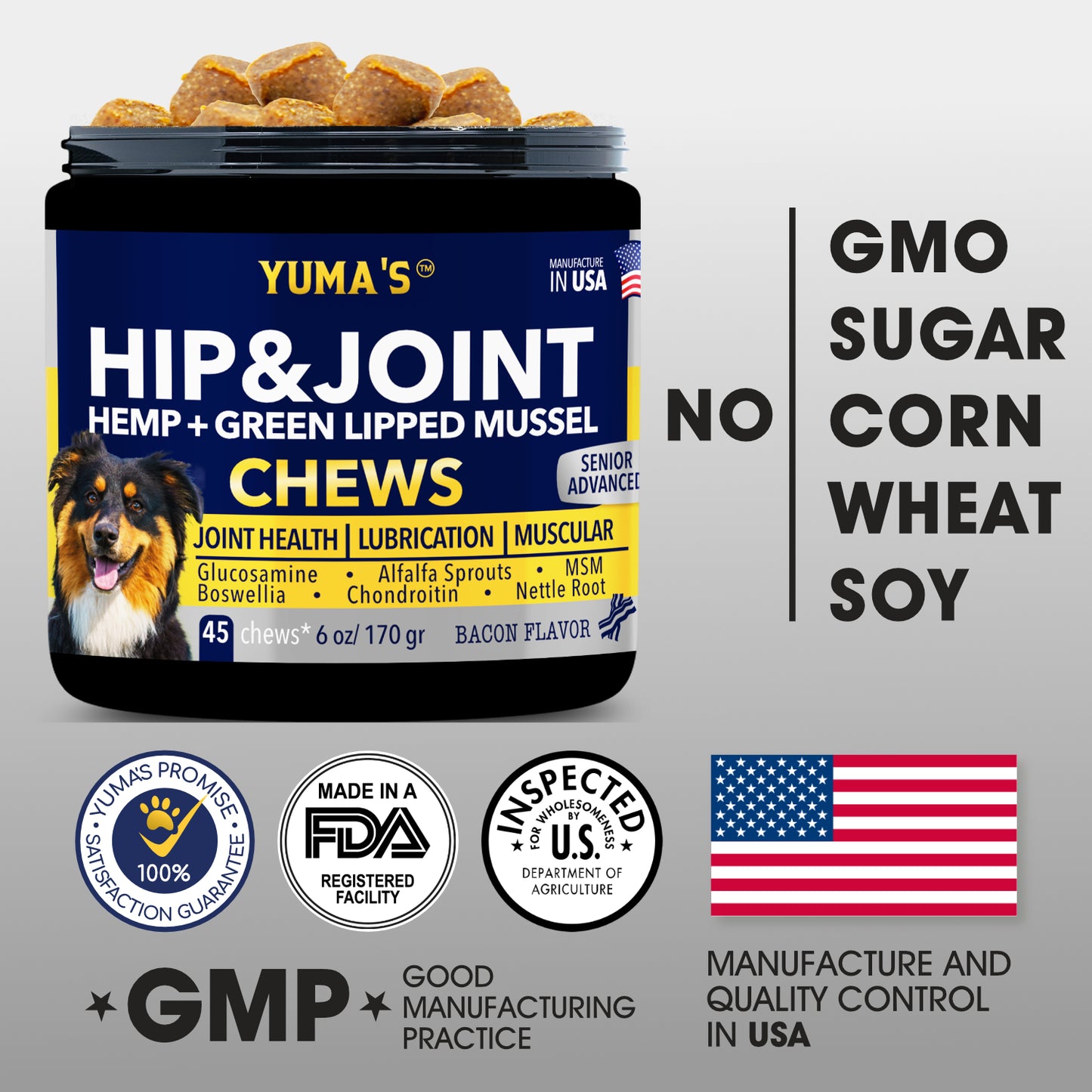 Hip & Joint Chews Advanced Mobility for Senior Dog